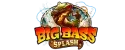 Big Bass Splash